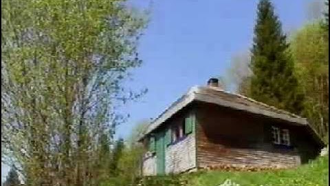 Hermann Heidegger And Hans-Georg Gadamer On 