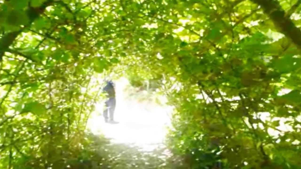 Chalice Well Gardens, Glastonbury