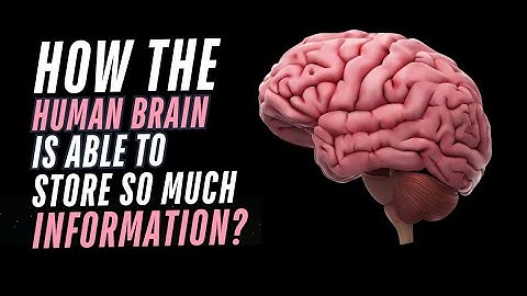 How The Human Brain Is Able To Store So Much Information? #science #neuroscience #brain #ai