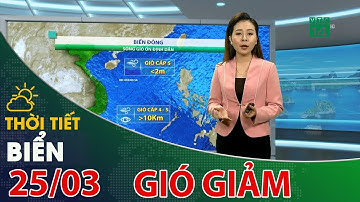 Thời tiết biển 25/03/2021: Gió trên biển giảm, sóng biển dưới 2m| VTC14