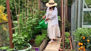 Garden tour of July 🌱 พาชมสวนผักกับแม่แดงจ้า