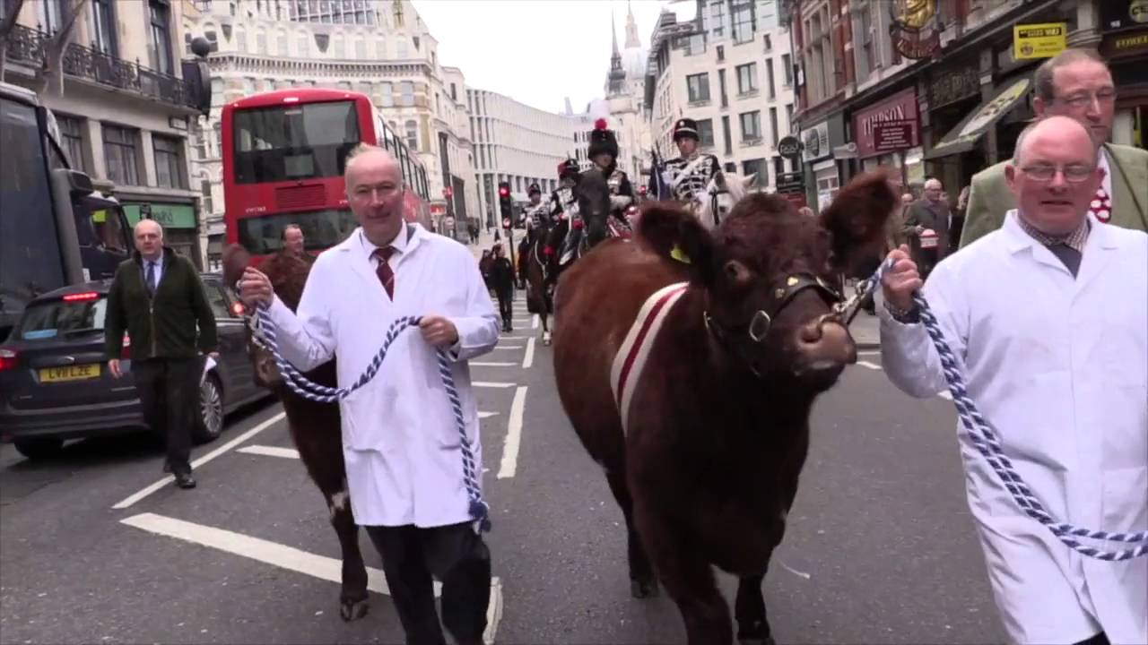 A Celebration of British Livestock at Christmas Version 2
