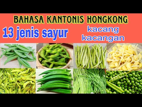 BAHASA KANTONIS SAYURAN || BELAJAR BAHASA KANTONIS NAMA SAYUR KACANG KACANGAN JELAS @humairaharyu