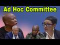 Ad Hoc Committee Public Submissions