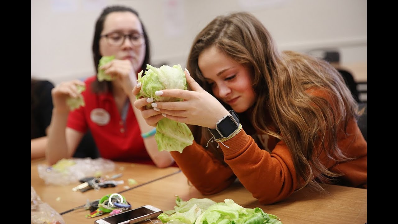 Lettuce Club Frisco Texas High Schoolers Reduce Stress by Eating Heads