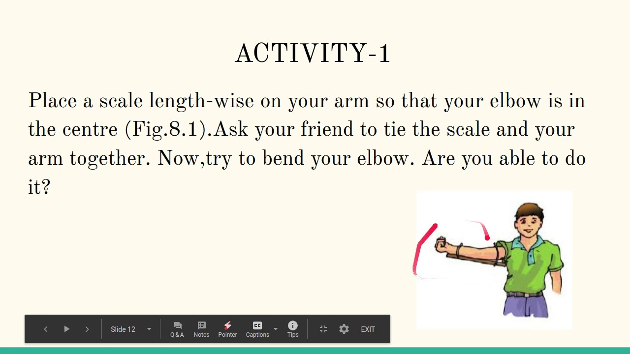 NCERT CLASS 6 CHAPTER 8 - YouTube