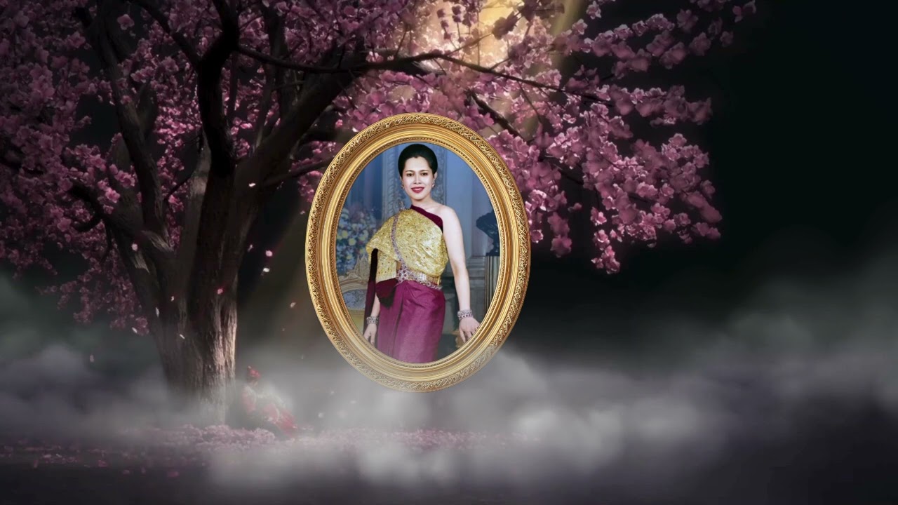 ต้นไม้ของแม่