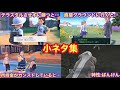 【小ネタ集】239時間準備したデータでストーリーを破壊すると…【ポケモンSV】