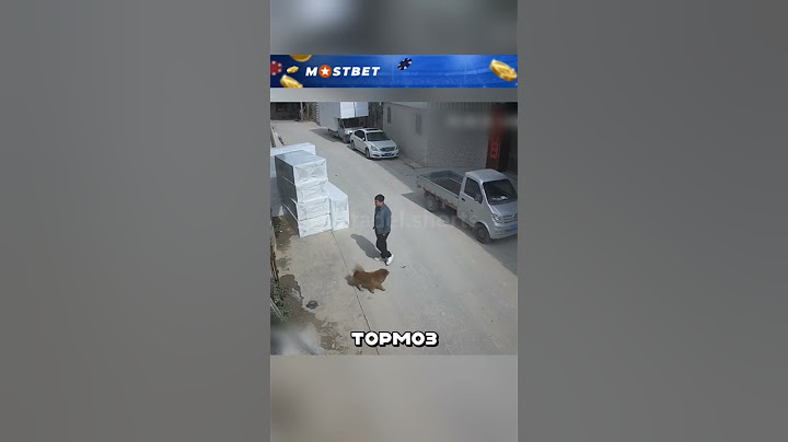 Машина по-тихому уехала от хозяина 😱🚘😂