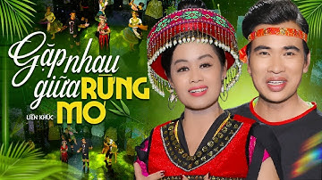 Gặp Nhau Giữa Rừng Mơ - Cặp Đôi Song Ca Nhạc Tây Bắc Nghe Là Mê Luôn | Nhạc Trữ Tình Tuyển Chọn