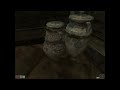 Joining the Tribunal Temple- Northstar Plays: The Elder Scrolls Morrowind (Ep18, S1)