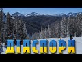 Діаспора | Лижі в Колорадо