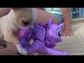 Новая пони Лена и щенок Лаки распаковывают пони New My Little Pony for kids