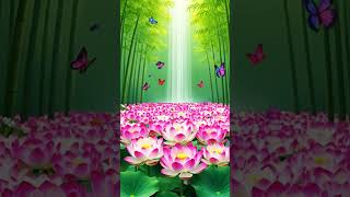 relaxing music with nature sounds Waterfall #963hzfrequencyofgods #chakra #rootchakra