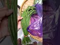 Mau Masak Kacang Panjang