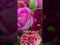 الله ورود فلسطين غزة Palestine Flowers Explore راحة نفسية