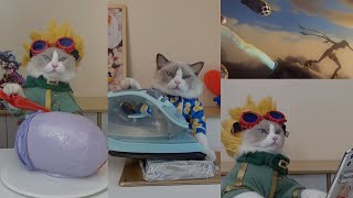 Gato cozinheiro do tiktok #2-As melhores compilações by Pets do tiktok 268,945 views 2 years ago 10 minutes, 17 seconds
