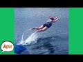 When the FAIL Goes FLYING! 🤣 | Fails of the Week | AFV 2021