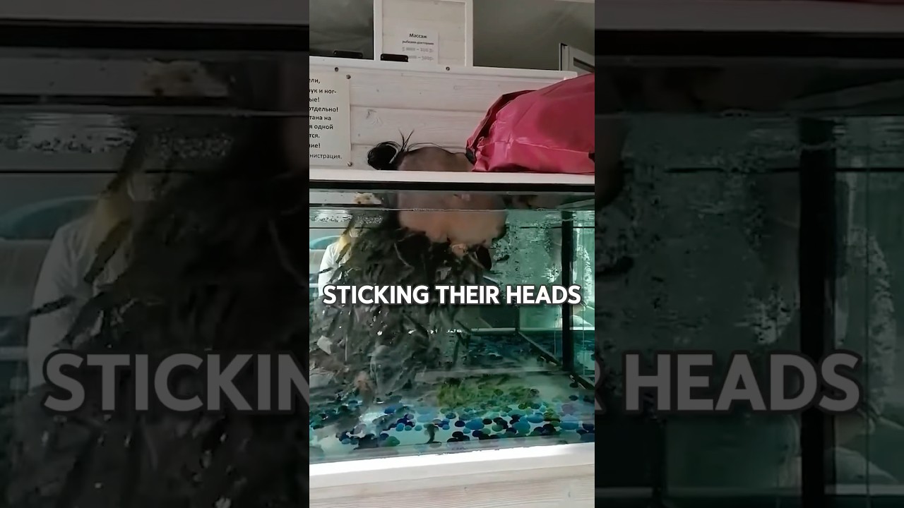 Почему вам не стоит делать рыбный педикюр😱