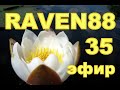 RAVEN 88 В ЭФИРЕ 35