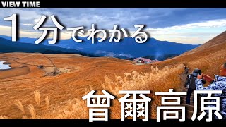 【ススキの絶景】曾爾高原(奈良/観光/見頃/駐車場/混雑/アクセス)