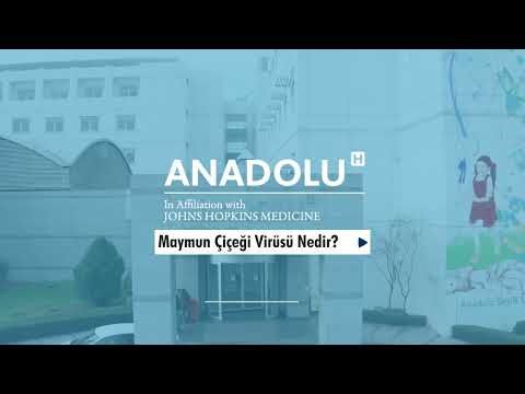 Maymun çiçeği virüsü nedir?