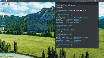 Kali in vmware  problem- not showing mouse pointer or courser