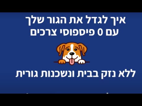 וִידֵאוֹ: פיזיות והנאה