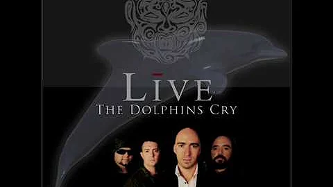 Live - Dolphin's Cry (Tradução)