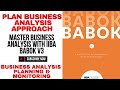IIBA BABOK Business Analysis Planning & Monitoring|Business Analyst Plan Business Analysis Approach