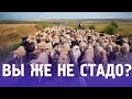 Вы же не стадо?