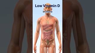 Vitamin D &amp; Suicide Risk? What Research Actually Shows (2025 Meta-Analysis)