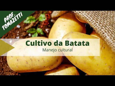 Vídeo: Determinada vs. Batatas indeterminadas - Aprenda sobre as características de crescimento da batata