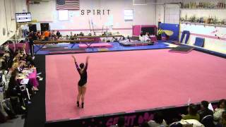Dalmatian Classic 2015
