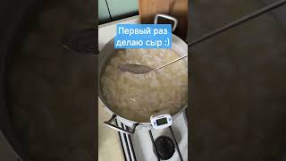 Первый раз делаю твердый сыр