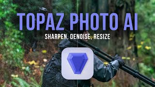 Topaz Photo AI - An Honest Review   How to Use to Reduce Noise, Add Sharpness, and Increase Size