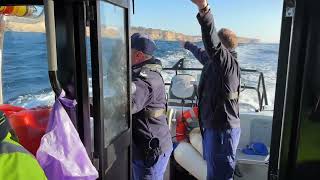 Marine Rescue NSW The Gap Missing Boater search continues