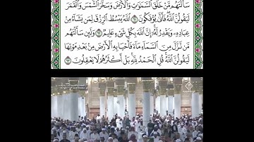 خواتم سورة العنكبوت قراءة الشيخ حسين آل الشيخ