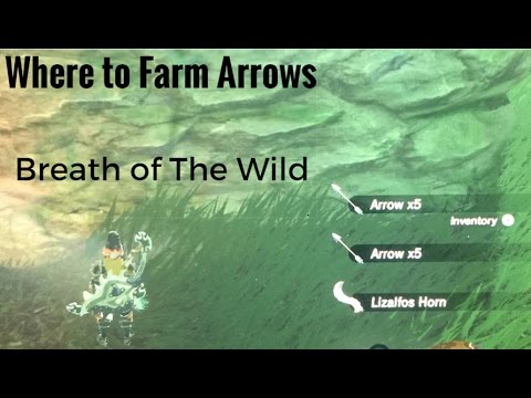 Where to farm arrows in Breath of The Wild