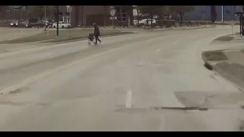 Tesla Erroneous Forward Collision Warning March 24 2023 Tesla Insurance Safety Score Drops