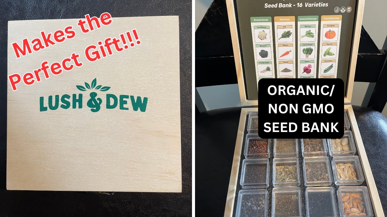 'Gifting Organic Seed Banks: The Greenest Present!' 