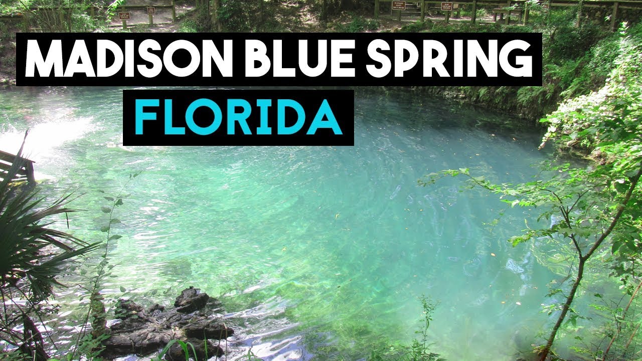 4th of July in ALABAMA // MADISON BLUE SPRINGS YouTube