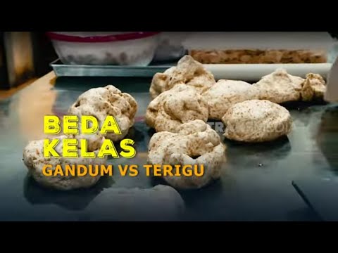 Tepung Gandum Vs Tepung Terigu