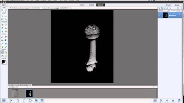 Art of Everyday Photography - Applying a Texture in PhotoshopElements