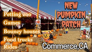 Pumpkin Patch | Grand Opening | Commerce CA