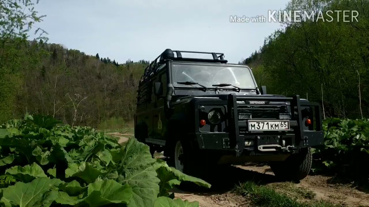 Вахта о. Сахалин. Рыбалка на хищника. - YouTube