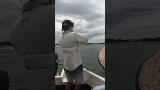 These crazy fish pull HARD for their size! #fishing #fishingaustralia #baitfishing #whiting #fish