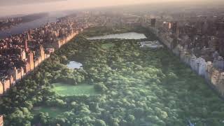 Muraspec Digital Wallcovering Installation