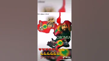 Raayyaa Ijjaa Bakkuma Jirutti Wal Anuu OromummaanHincabuu SUBSCRIBE Godhaa 