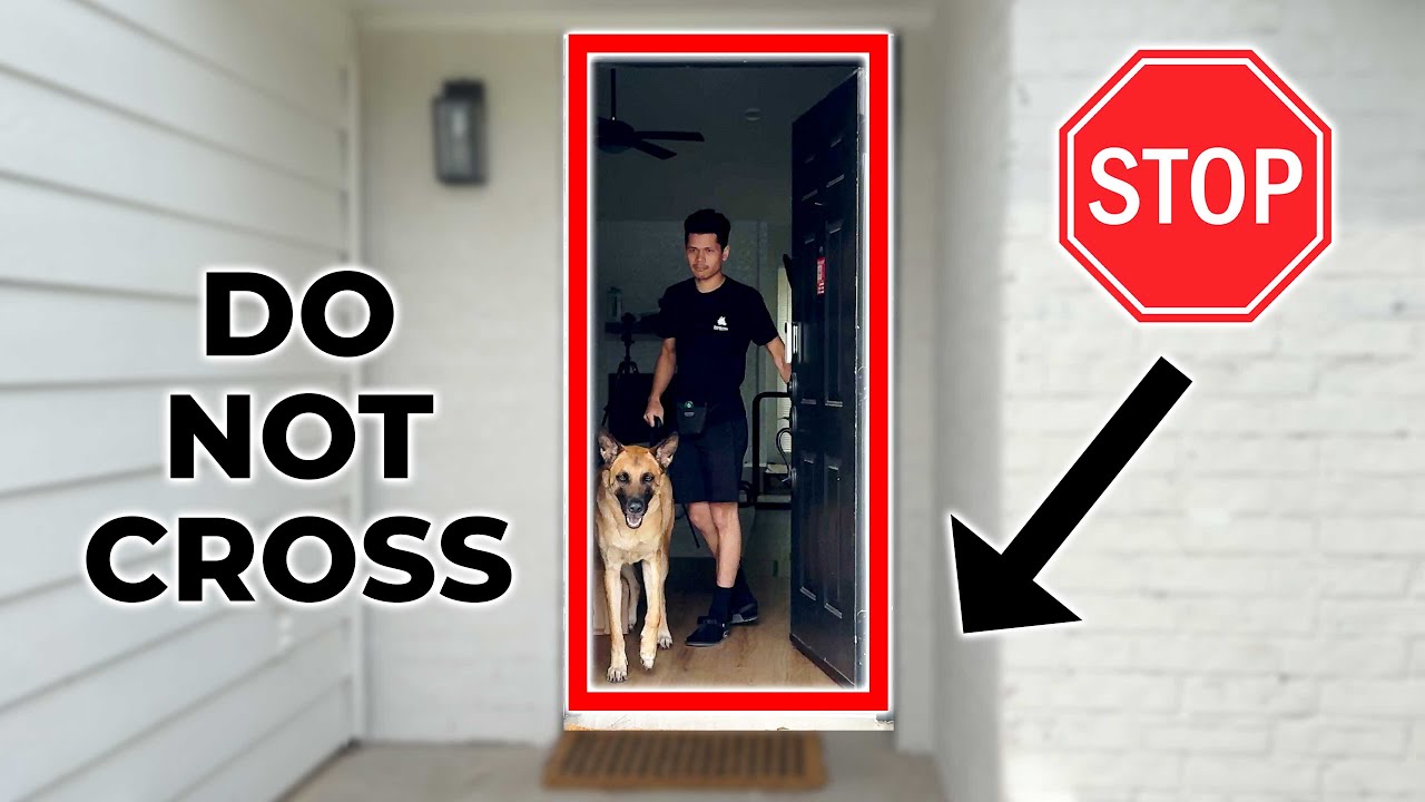 Train Your Dog to STOP Running Out The Door (Door Thresholds) YouTube